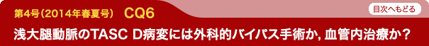 浅大腿動脈のTASC D病変には外科的バイパス手術か，血管内治療か？