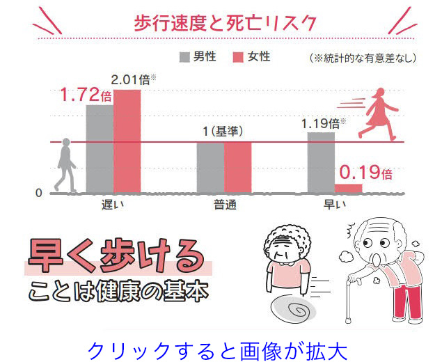 歩行速度と死亡リスク