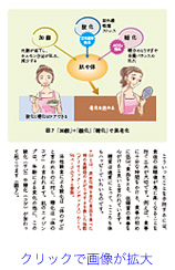 「加齢」＋「酸化」「糖化」で肌老化
